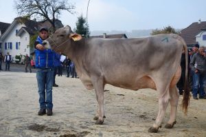 k-6Schneutersiegerin jngere Falk VANESSA Ueli und Tim Schwegler